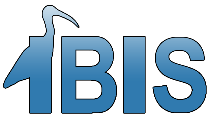 IBIS Computer Services